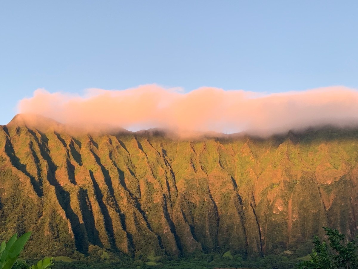 What is the pandemic teaching&nbsp;us?