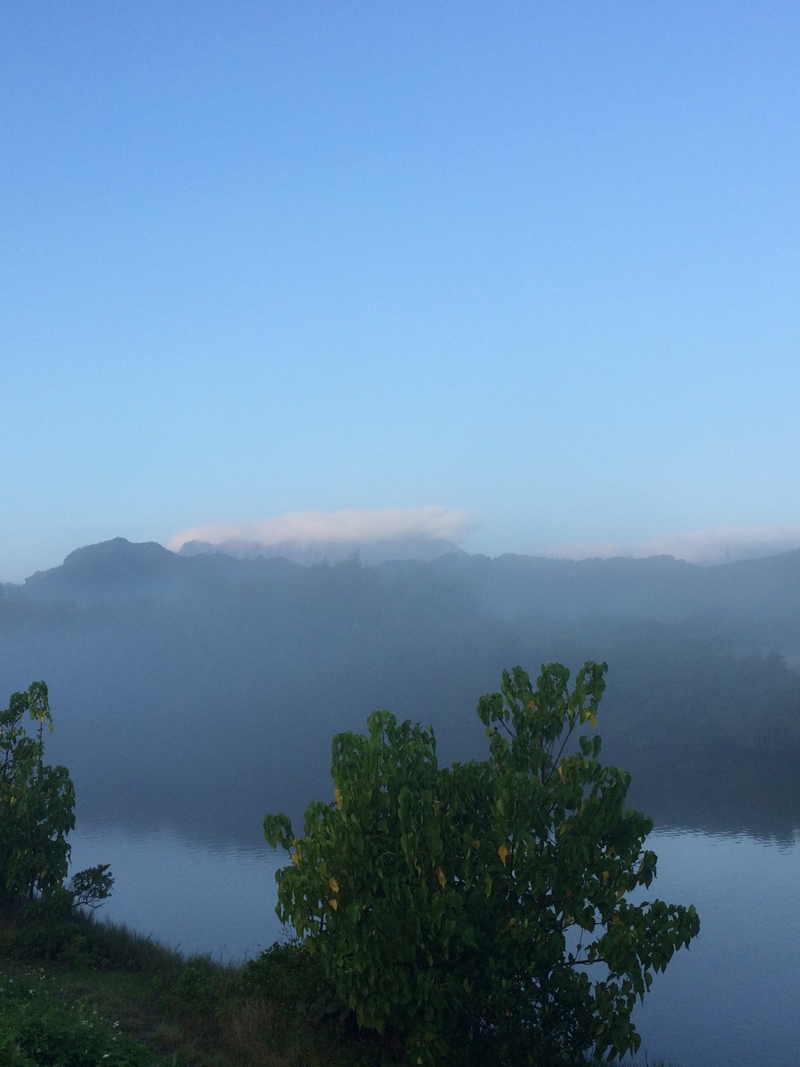 Is this the new normal? In-person learning and&nbsp;quarantine